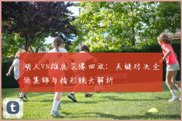 湖人vs雄鹿录像回放：关键对决全场集锦与精彩镜头解析