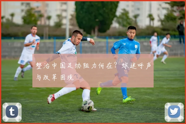 整治中国足协阻力何在?球迷呼声与改革困境