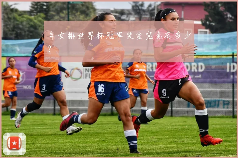年女排世界杯冠军奖金究竟有多少？