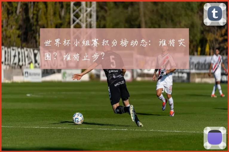 世界杯小组赛积分榜动态：谁将突围？谁将止步？