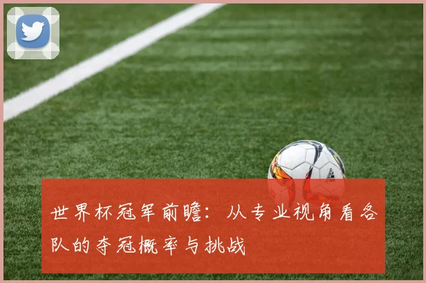 世界杯冠军前瞻：从专业视角看各队的夺冠概率与挑战