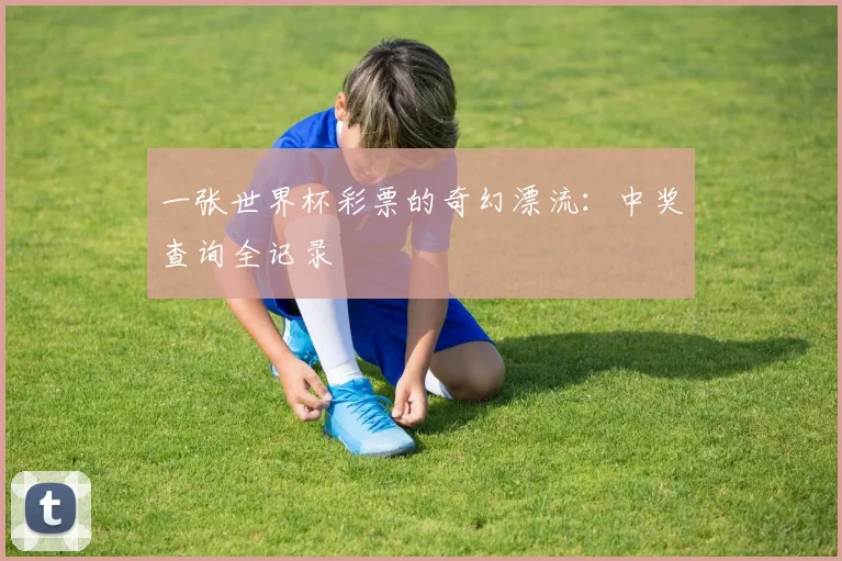 一张世界杯彩票的奇幻漂流：中奖查询全记录