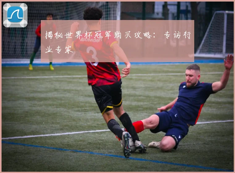 揭秘世界杯冠军购买攻略：专访行业专家