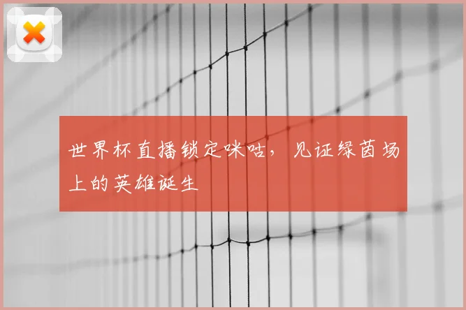 世界杯直播锁定咪咕,见证绿茵场上的英雄诞生