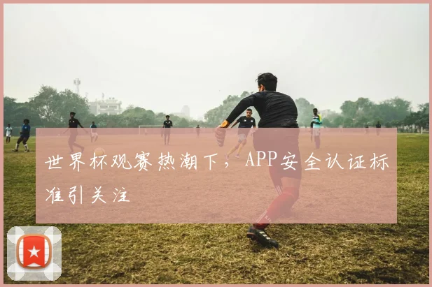 世界杯观赛热潮下,APP安全认证标准引关注