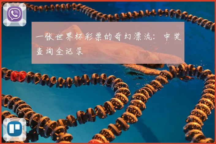 一张世界杯彩票的奇幻漂流：中奖查询全记录