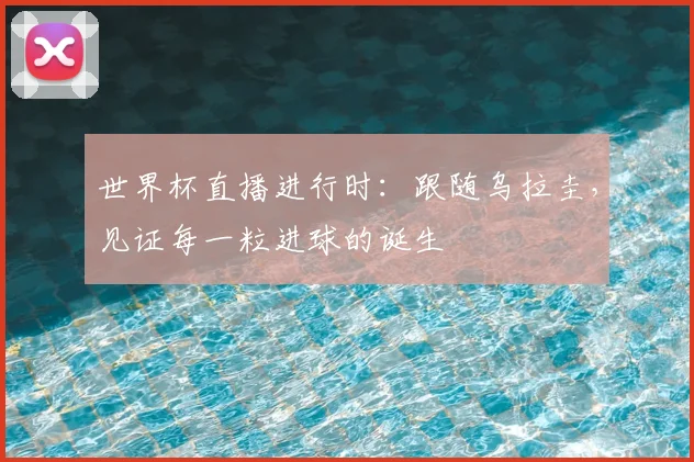 世界杯直播进行时:跟随乌拉圭,见证每一粒进球的诞生