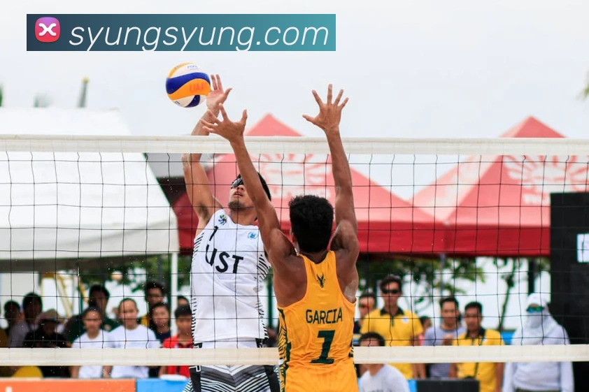 三亿体育官网登录入口服务体系